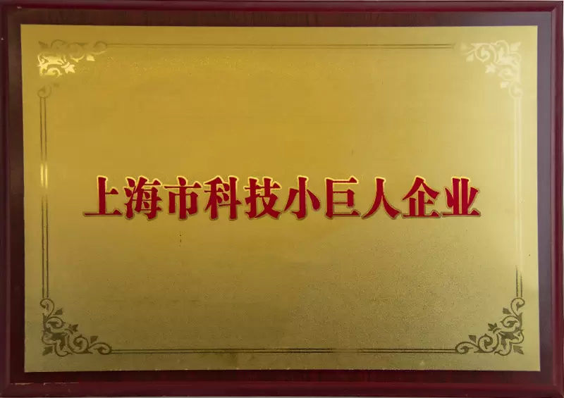 科技小巨人(rén)企業
